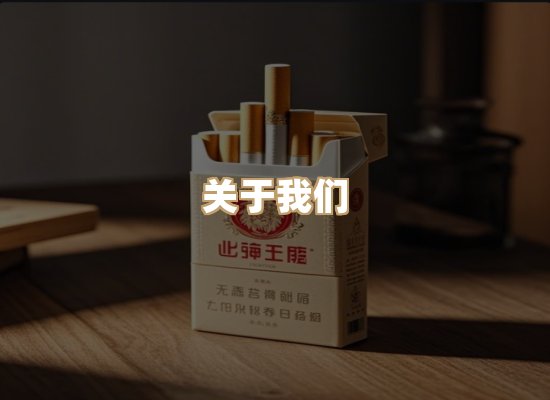 关于御龙烟网